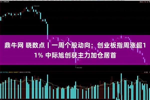 鼎牛网 晓数点丨一周个股动向：创业板指周涨超11% 中际旭创获主力加仓居首