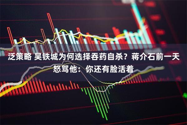 泛策略 吴铁城为何选择吞药自杀？蒋介石前一天怒骂他：你还有脸活着